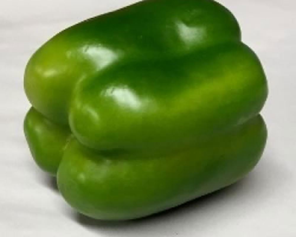 Pepper - Green Organic NL