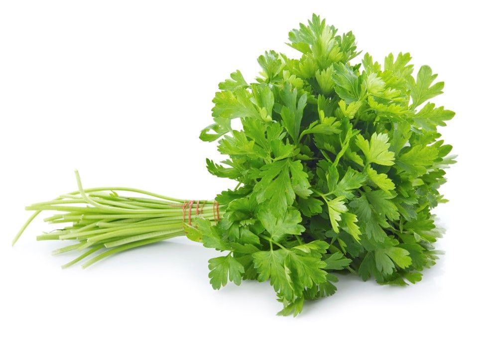 Parsley - Flat Leaved - Local