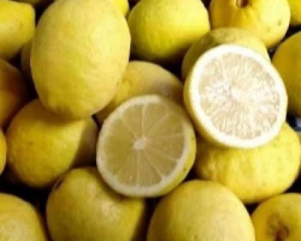 Lemons - Organic ESP