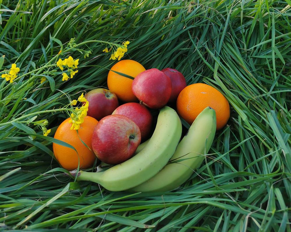Organic Fruit Bags