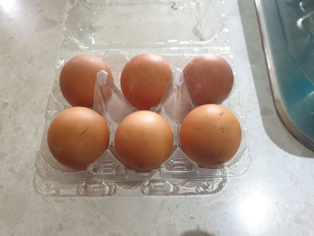 Eggs-Medium (Free Range)