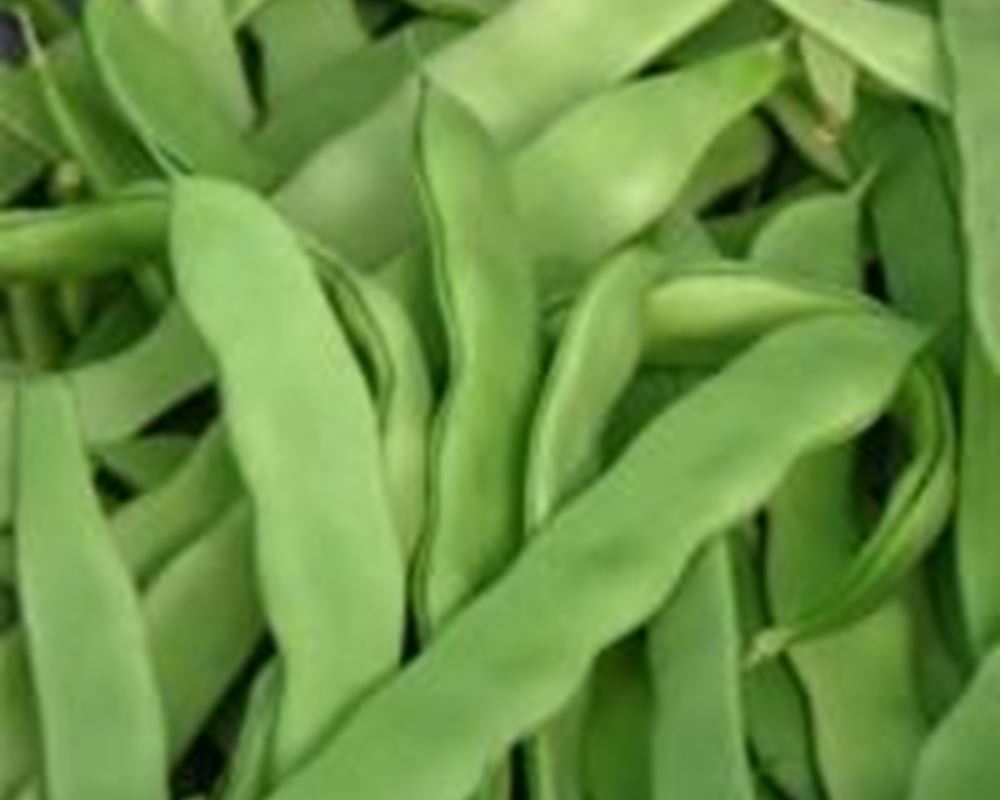 Beans - Flat Organic ES