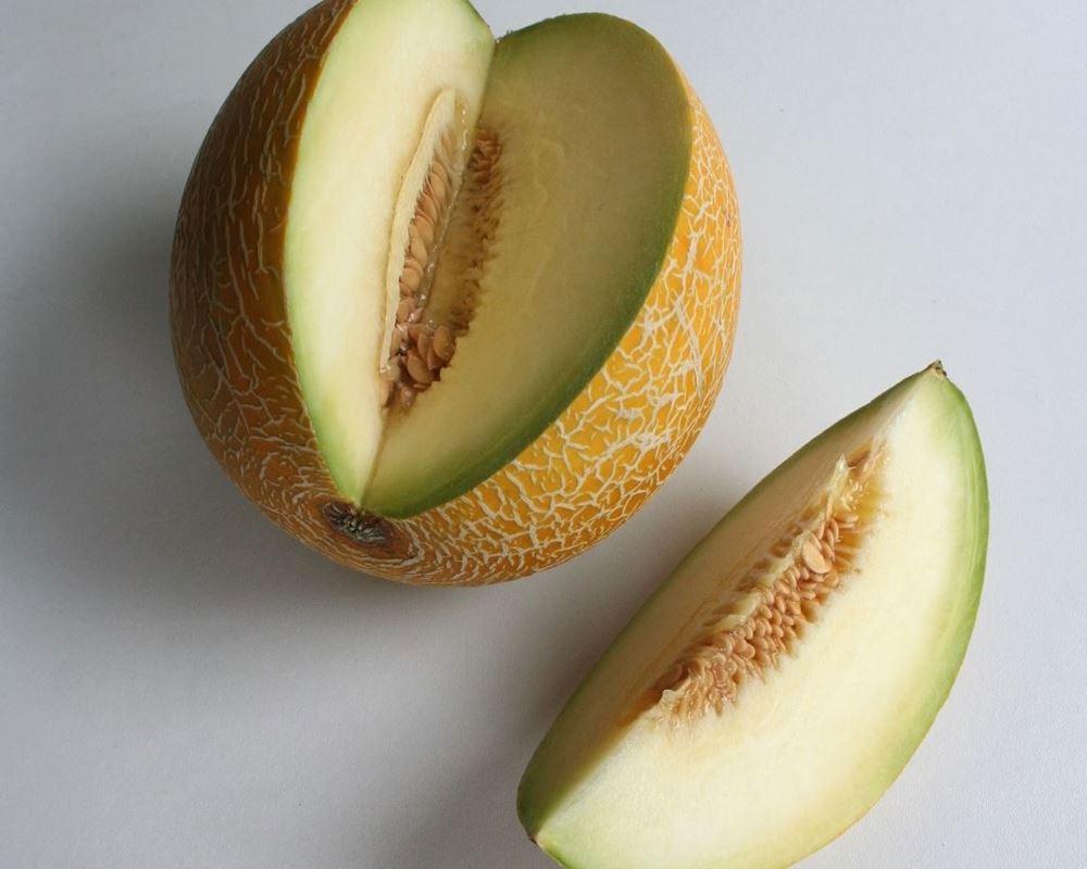 Melon Galia - Organic (ESP)