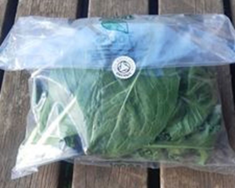 Mixed Salad Bag 120g (Local)