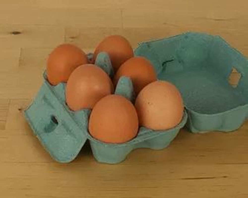 Eggs Free Range Half-Dozen