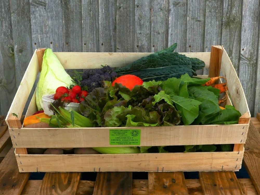 Extra Large Organic Veg Box
