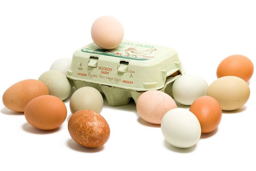 Eggs Organic Half-Dozen - Medium