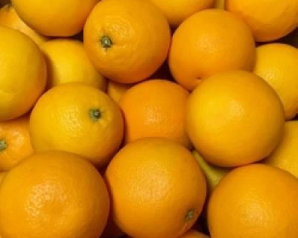 Oranges - Organic (ES)