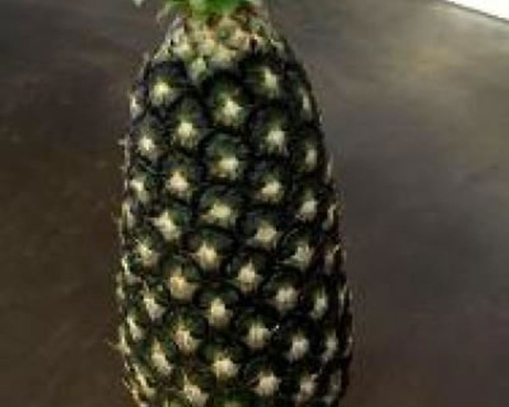 Pineapple - Organic