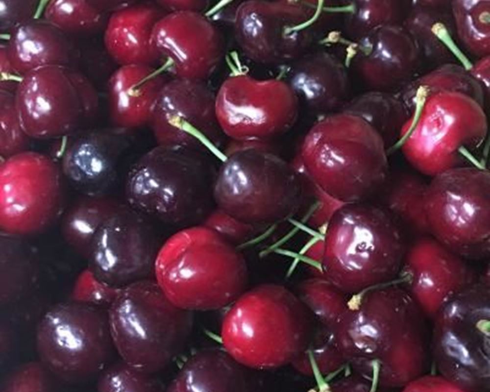 Cherries - Organic ESP