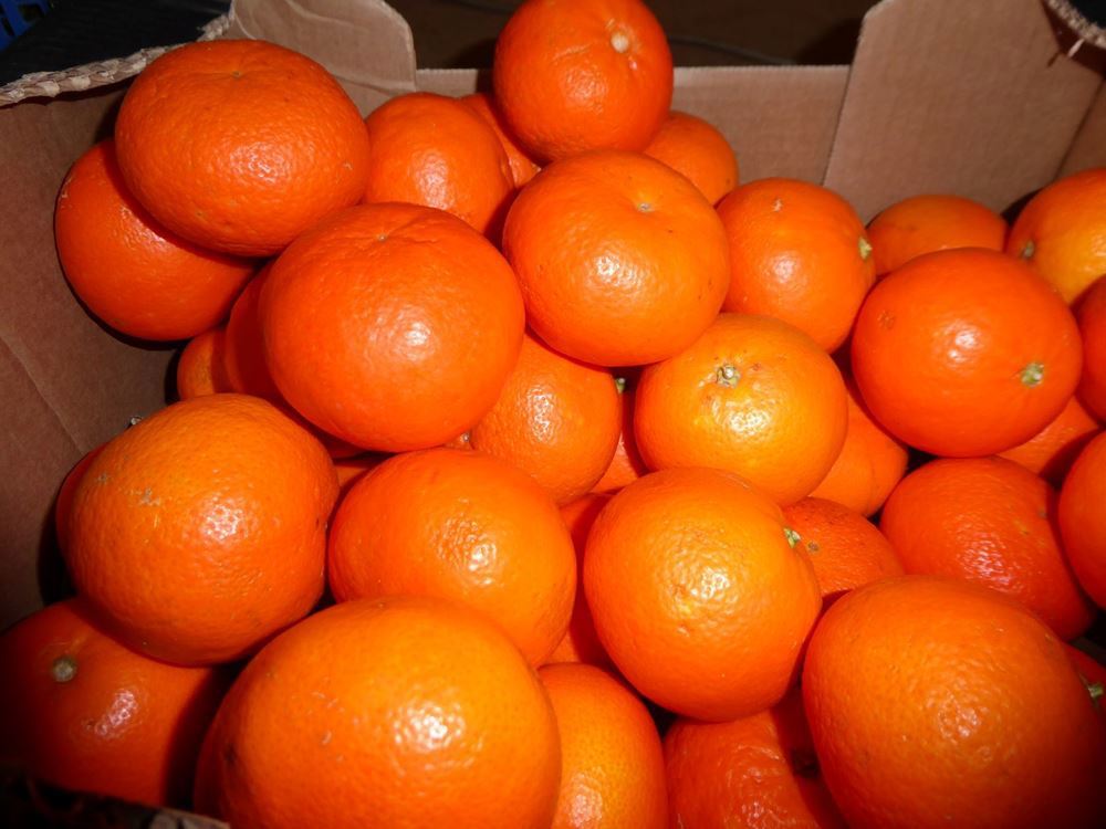 Clementines (approx 500g)