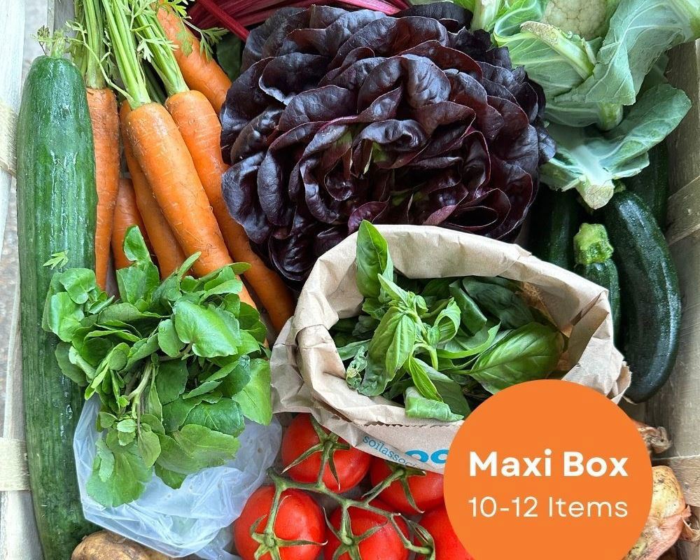 Maxi Veg Box