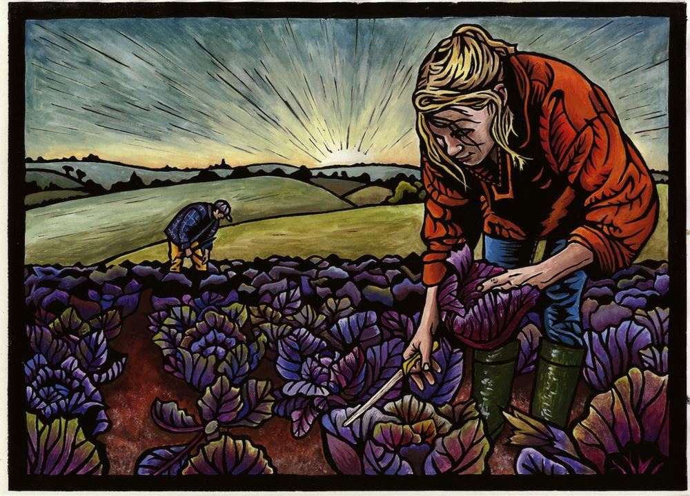 Red Cabbage Harvest Card