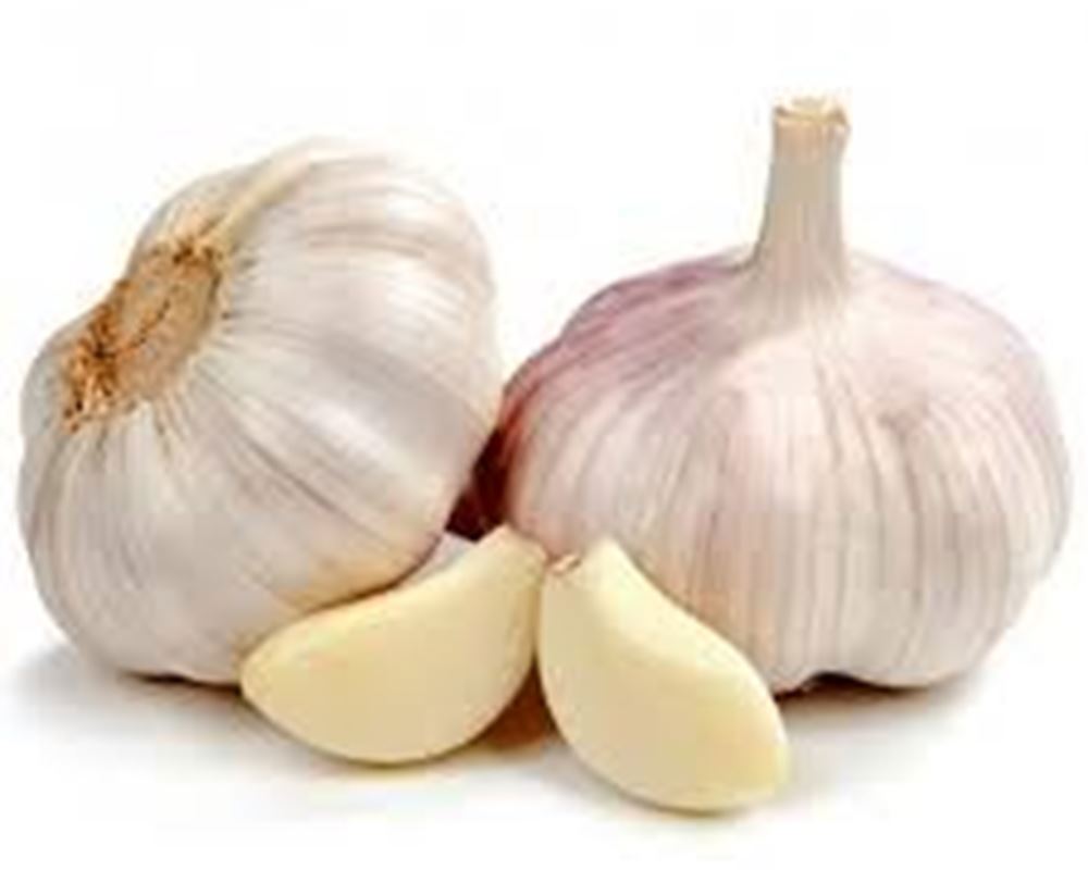 Garlic - pack of 2