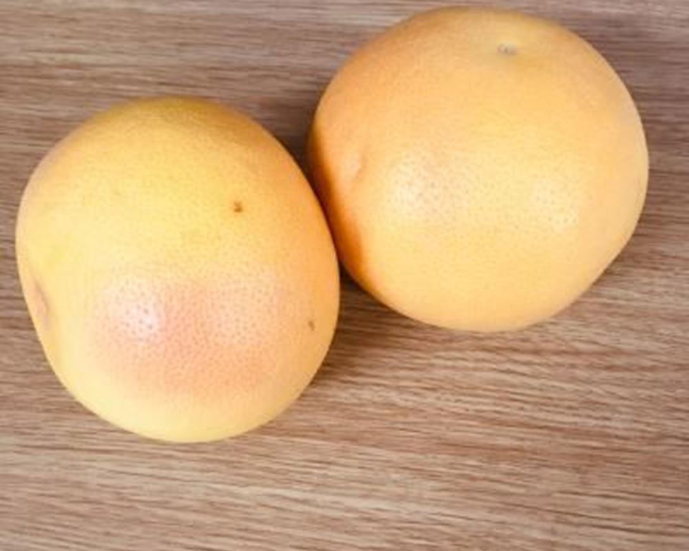 Grapefruit - Organic (FR)