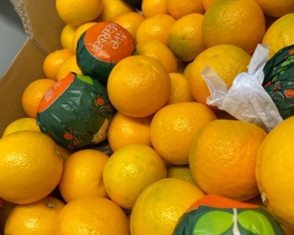 Maria Marmalade Oranges - Organic
