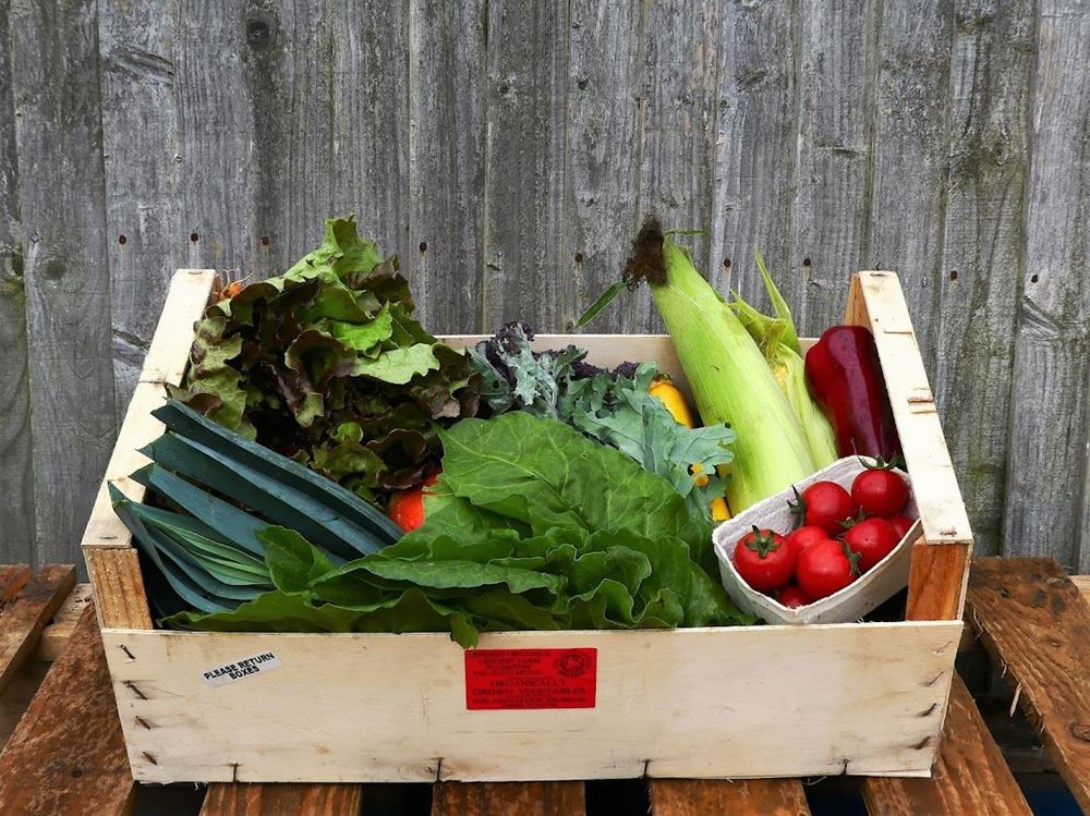 Large Organic Veg Box