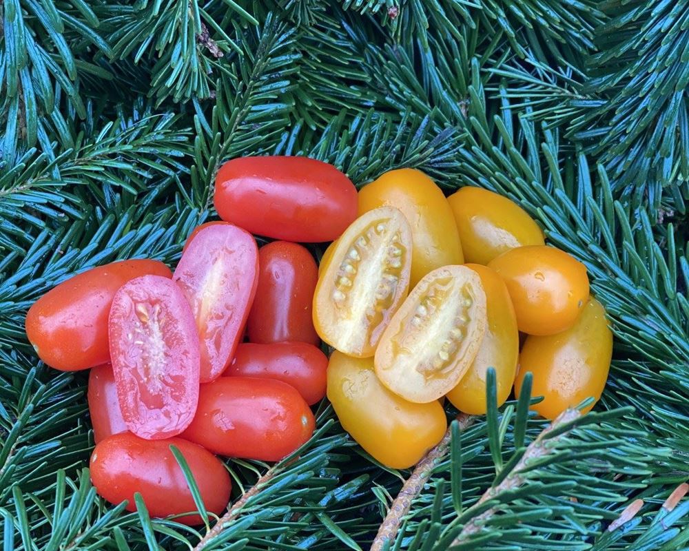 Tomato, Small Plum - approx 250g - Organic