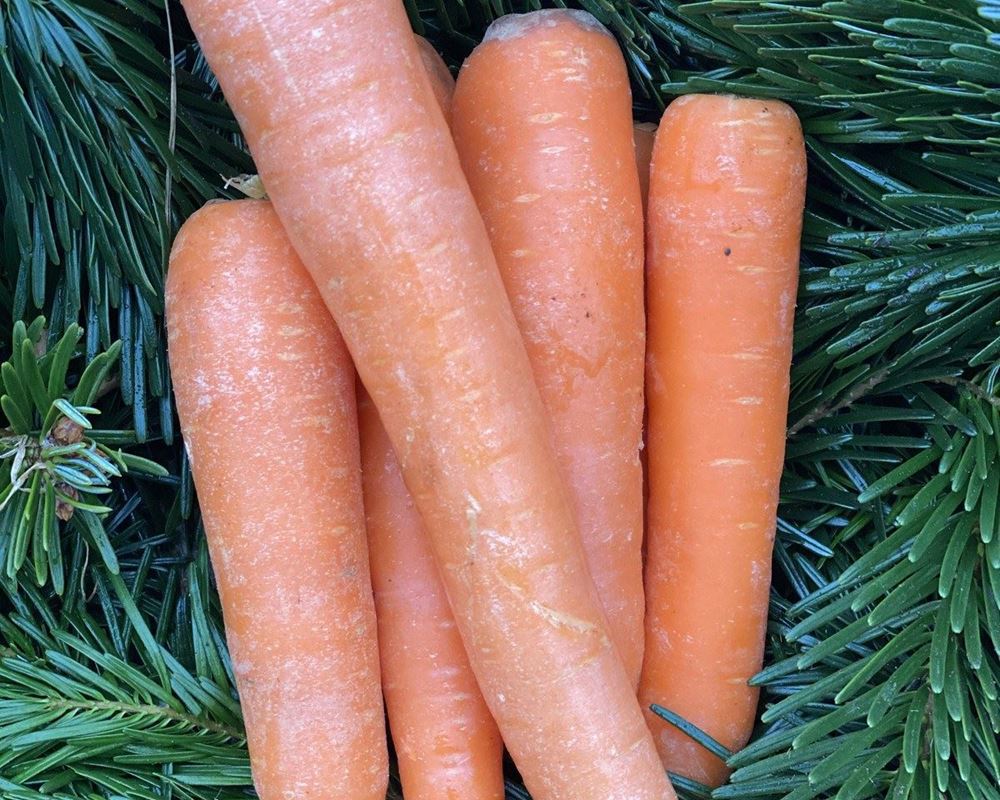 Carrots, washed - approx 500g - Organic