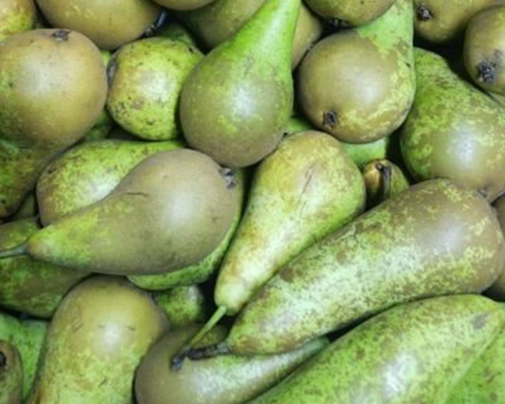Pears - Organic AR