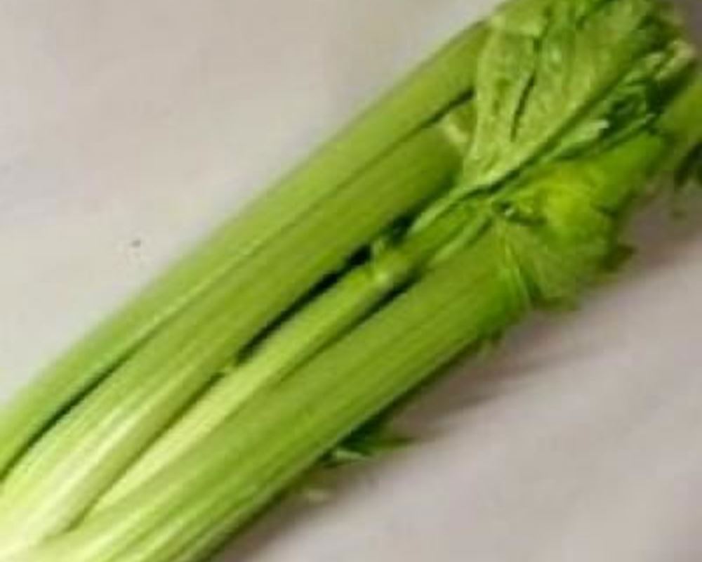 Celery - Organic UK