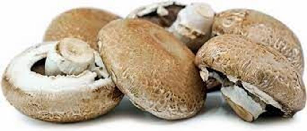 Portobello Mushroom (UK)