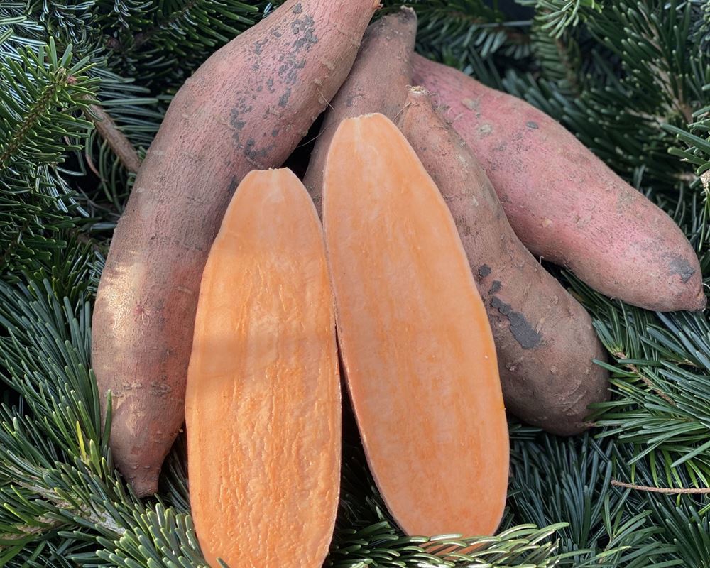 Sweet Potatoes - approx 1kg - Organic