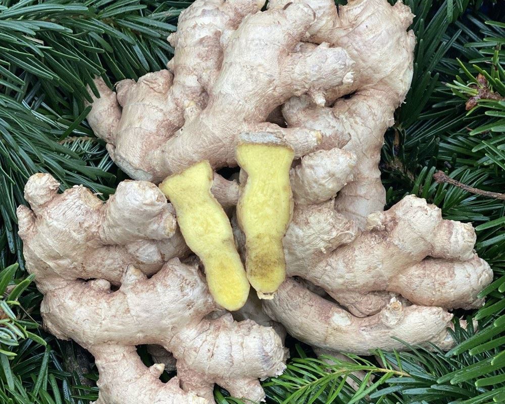 Ginger - approx 200g - Organic