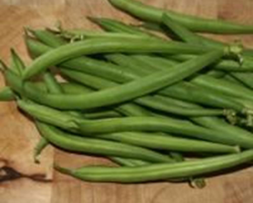 Beans - French Organic