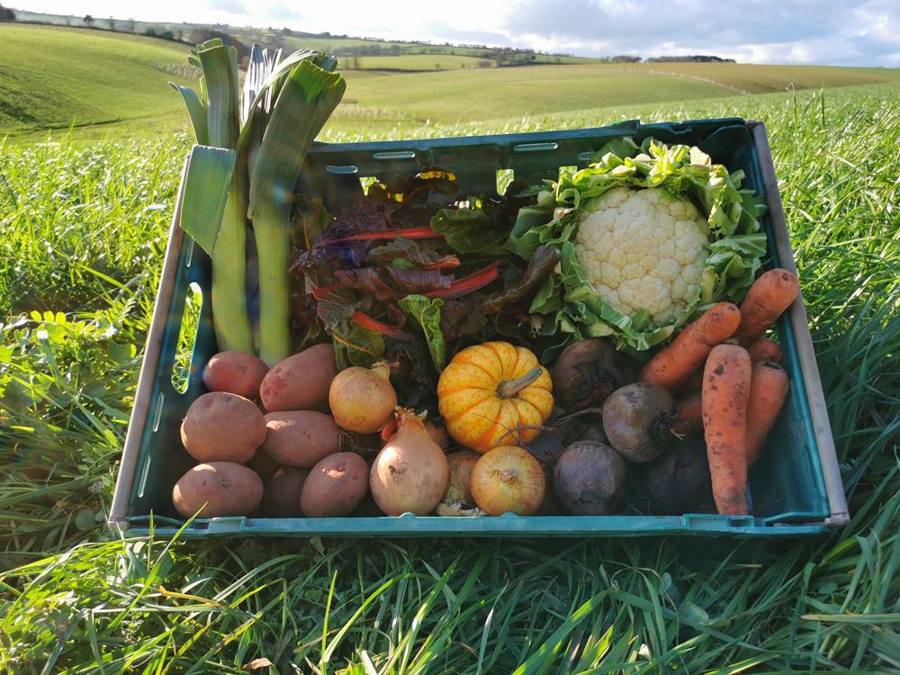 Medium Organic Veg Box