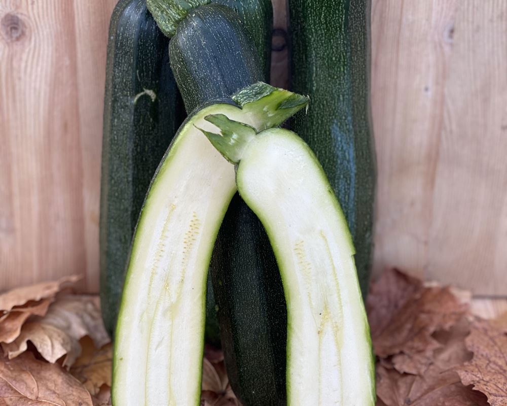 Courgettes -approx 500g - Organic