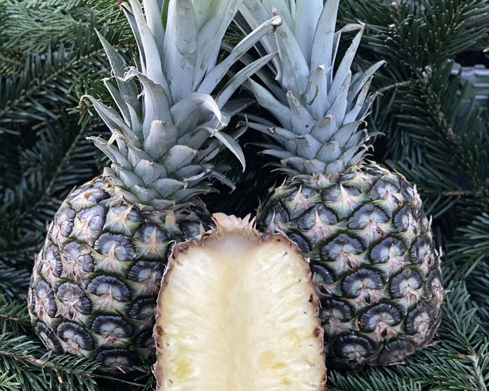 Pineapple - Individual