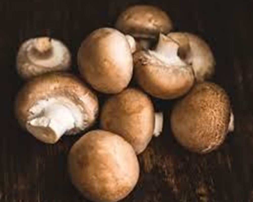 Mushrooms - Brown (UK)