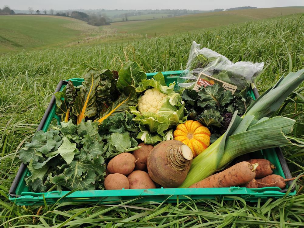 Farm Box - Organic