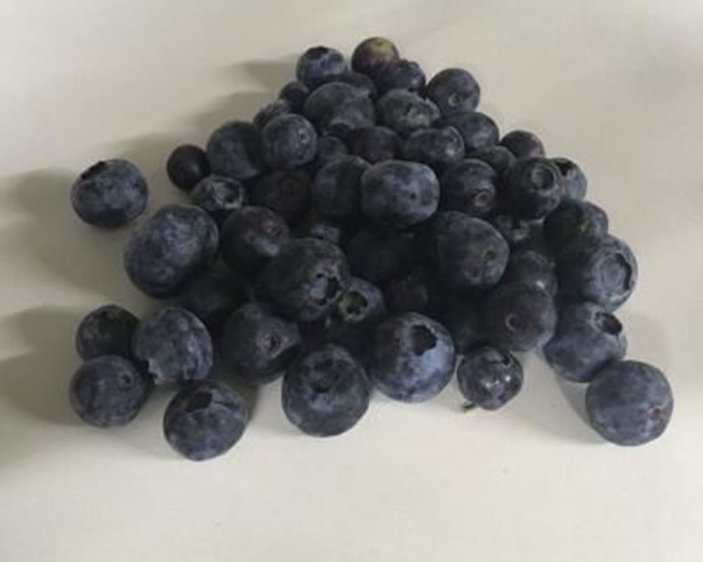 Blueberries - Organic (ES)