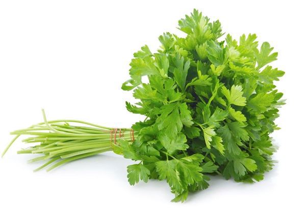 Parsley - Flat Leaved - Local