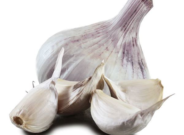 Garlic - New season wet