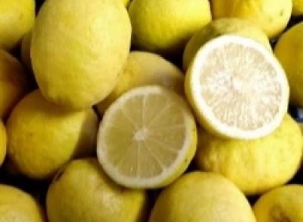 Lemons - Organic ESP