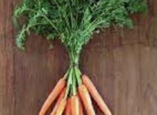 Baby Carrots 🇬🇧