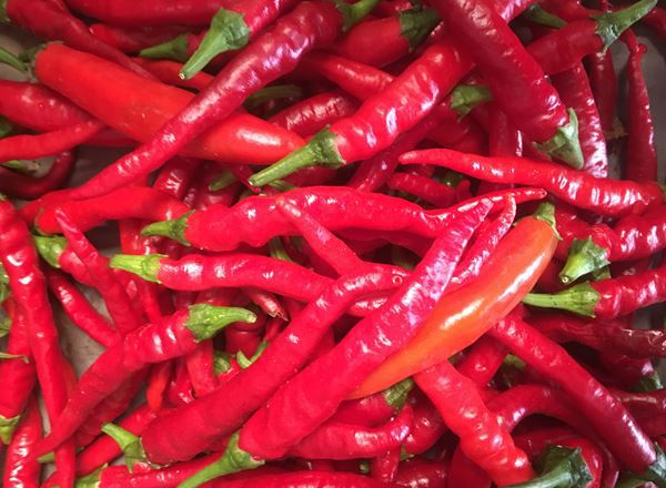 Chillies - dried