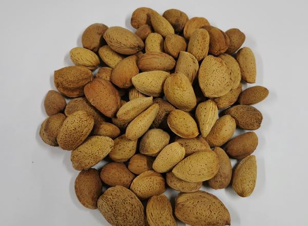 Nuts - Almonds in Shells Organic