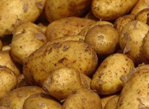 Potatoes - Marfona