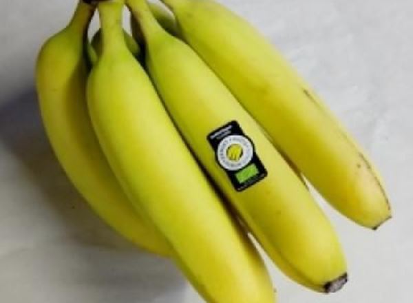 Bananas - Organic PE/DO