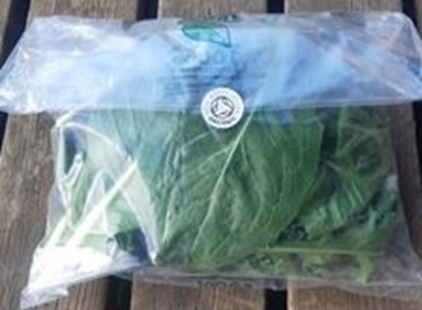 Mixed Salad Bag 120g (Local)