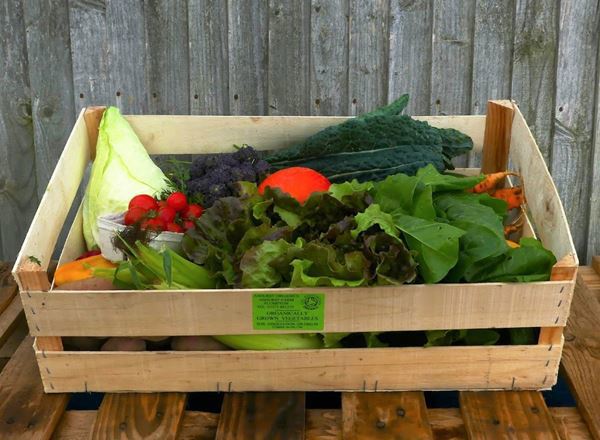 Veg Boxes - With Spuds