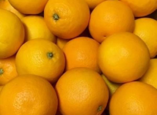 Oranges - Organic (ES)