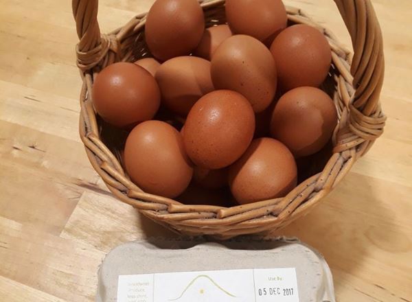 Eggs - organic half dozen