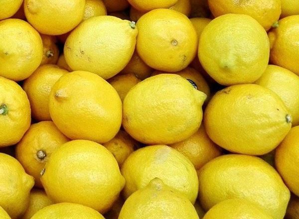 Lemon - Fino