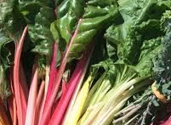 Chard mixed bunch (local)