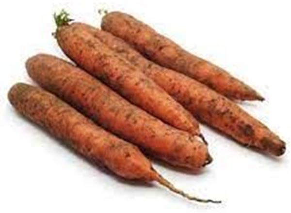 Carrots Bolero (Local)